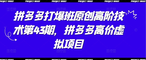 拼多多打爆班原创高阶技术第43期，拼多多高价虚拟项目-卓别林资源社