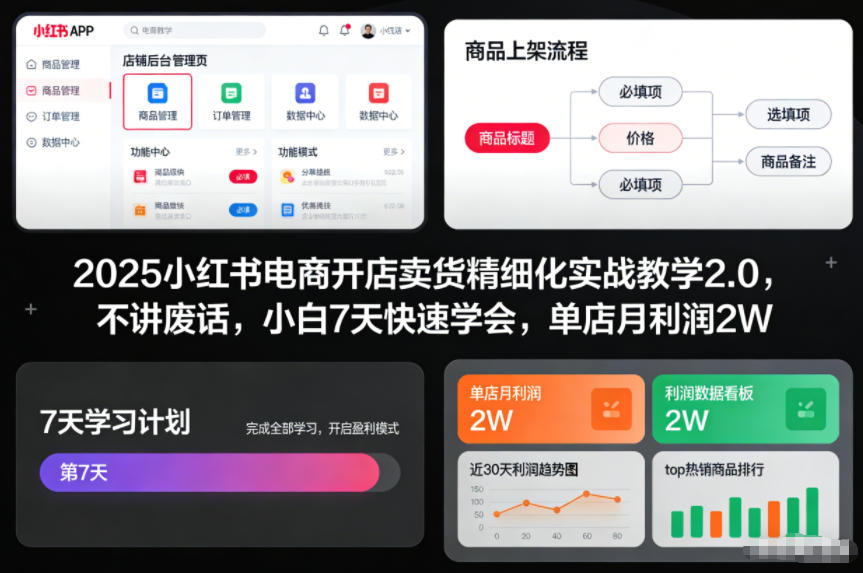 2025小红书电商开店卖货精细化实战教学2.0，不讲废话，小白7天快速学会，单店月利润2W-卓别林资源社