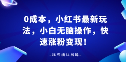 0成本，小红书最新玩法，小白无脑操作，快速涨粉变现-卓别林资源社
