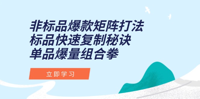 非标品爆款矩阵打法，标品快速复制秘诀，单品爆量组合拳-卓别林资源社