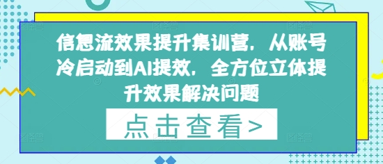 信息流效果提升集训营，从账号冷启动到AI提效，全方位立体提升效果解决问题-卓别林资源社