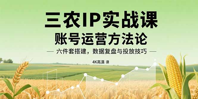三农IP实战课：账号运营方法论，六件套搭建，数据复盘与投放技巧-卓别林资源社
