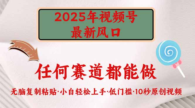 2025年视频号新风口，低门槛只需要无脑执行-卓别林资源社