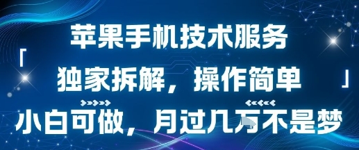 苹果手机技术服务，独家拆解，操作简单，小白可做，月过1W不是梦-卓别林资源社
