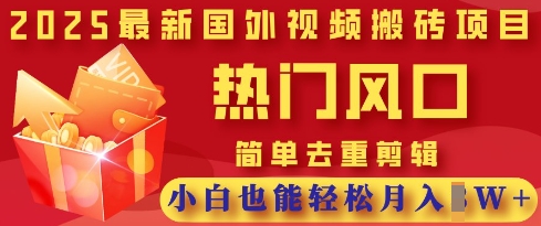 2025最新视频搬砖项目，热门风口，简单去重剪辑，小白也能轻松月入过W-卓别林资源社