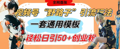 视频号“野路子”玩法，评论区疯狂截流，一套模板单日单号引流50+创业粉-卓别林资源社