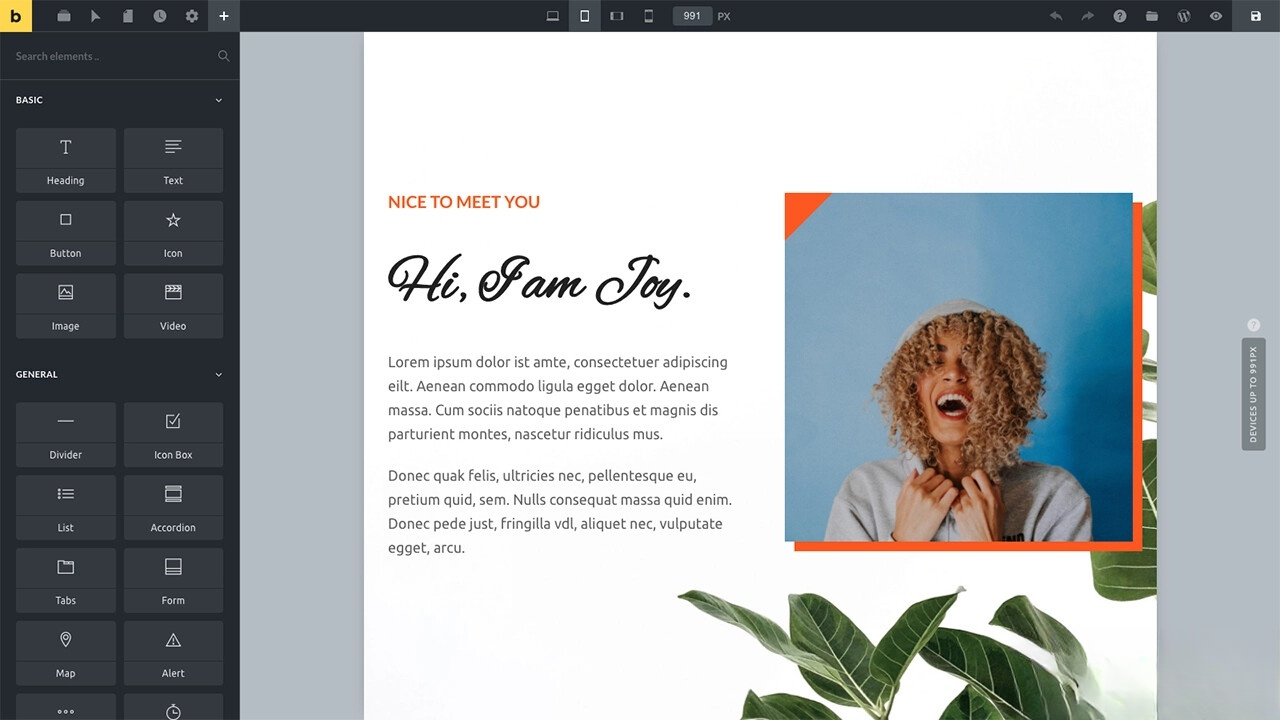 WordPress主题Bricks v1.9 破解版-卓别林资源社