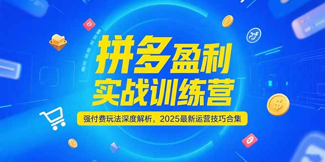 拼多多盈利实战训练营，强付费玩法深度解析，2025运营技巧合集-更新6月-卓别林资源社