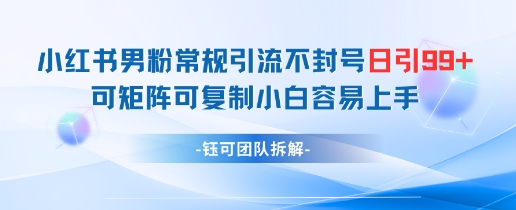 小红书男粉常规引流不封号日引99+变现简单 可矩阵可复制小白容易上手-卓别林资源社