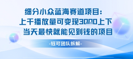 小众蓝海赛道项目：当天变现1k+适合新手操作 +适合长期玩-卓别林资源社