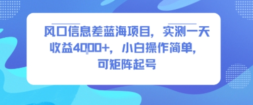 风口信息差蓝海项目，实测一天收益4k+，小白操作简单，可矩阵起号-卓别林资源社