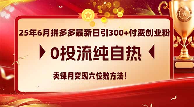 25年6月拼多多最新日引300+付费创业粉，0投流纯自热 卖课月变现六位数方法-卓别林资源社