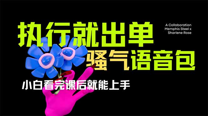 爆火全网的开车导航骚气语音包,只要执行就出单，小白看完课程就能实操…-卓别林资源社