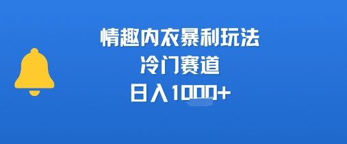 情趣内衣暴利玩法，冷门赛道，日入1k+-卓别林资源社