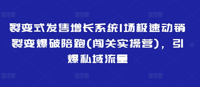 裂变式发售增长系统1场极速动销裂变爆破陪跑(闯关实操营)，引爆私域流量-卓别林资源社