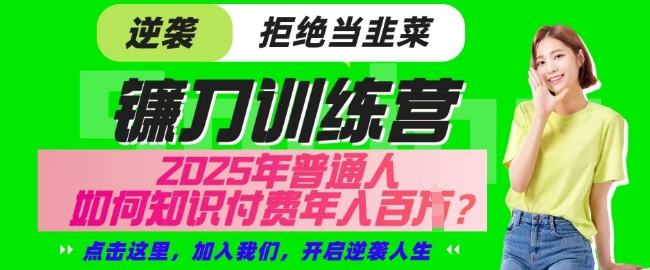 【网创项目终点站-镰刀训练营超级IP合伙人】25年普通人如何通过知识付费实现逆袭【揭秘】-卓别林资源社