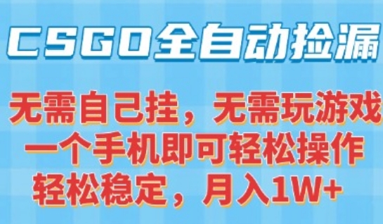 CSGO自动捡漏项目，最新独家玩法，一个手机可操作，新手小白轻松月入1W+，操作简单易上手【揭秘】-卓别林资源社