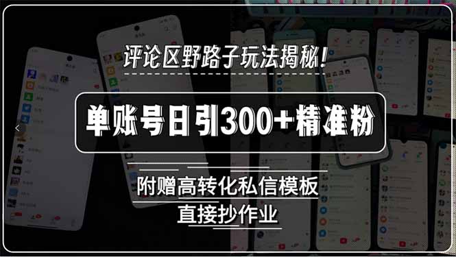 评论区野路子玩法揭秘！单账号日引300+精准粉，附赠高转化私信模板，直…-卓别林资源社