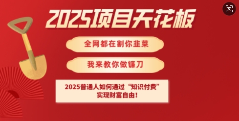 2025项目天花板普通人如何通过知识付费，实现财F自由【揭秘】-卓别林资源社